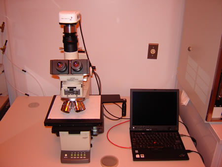 Olympus BH2 Microscope with Infinity 2 Digital Camera